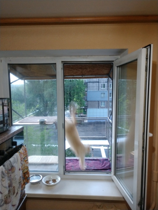 Вольер для кошек на окно. "Броневик" Днепр.