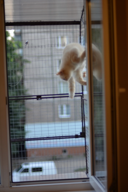 Сетка на окно для кота. "Броневик" Днепр