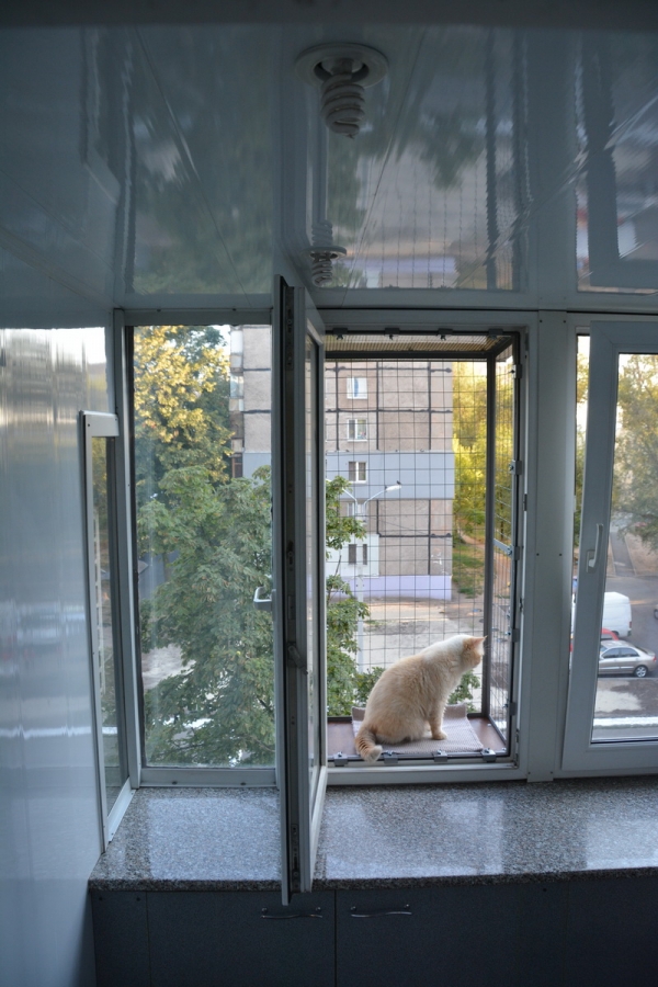 Балкон для выгула кошек, по почте. "Броневик" Днепр.