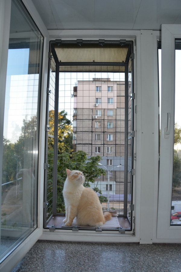 Балкон для выгула кошек, по почте. "Броневик" Днепр.