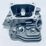 Гловка цилиндра 168F в сборе (клапана Ø24 мм , Ø25 мм) AGR